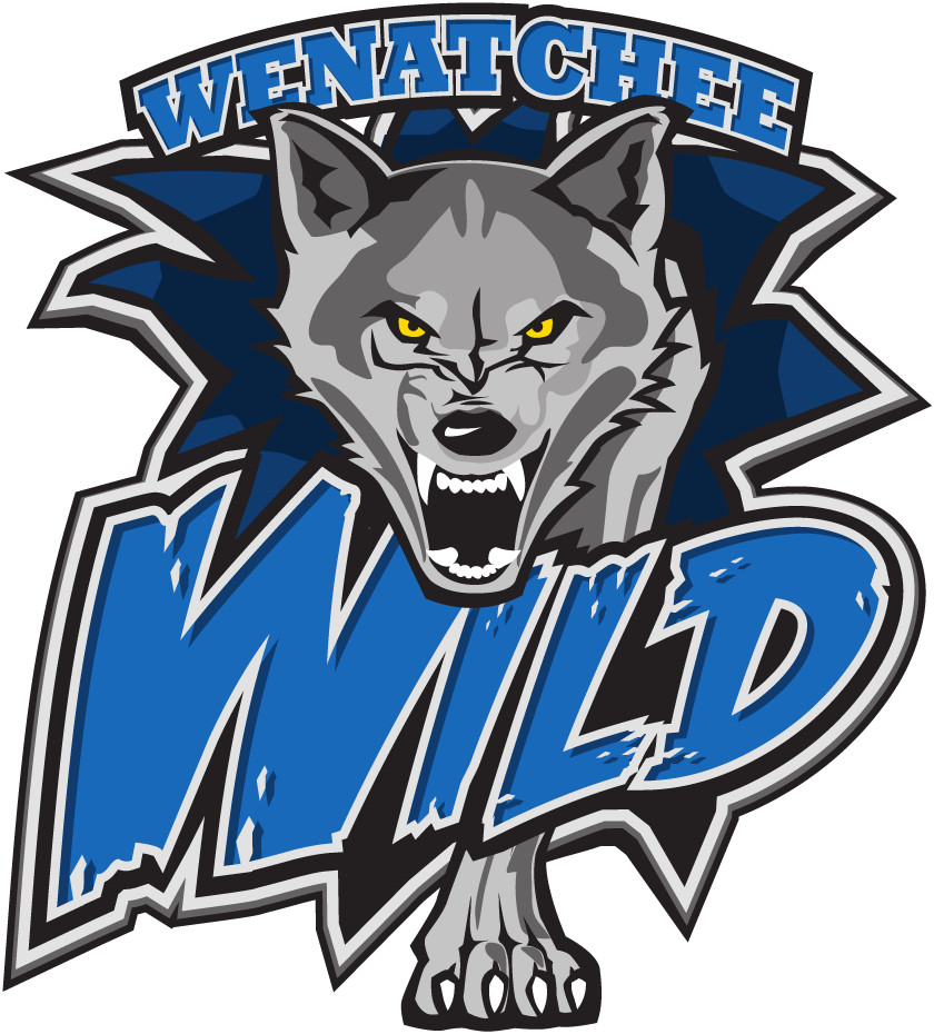 Wenatchee Wild 2015-Pres Primary Logo iron on heat transfer